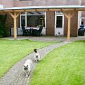 Afdak Nuenen Douglas en polyplaaten