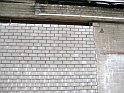 IMG_4292